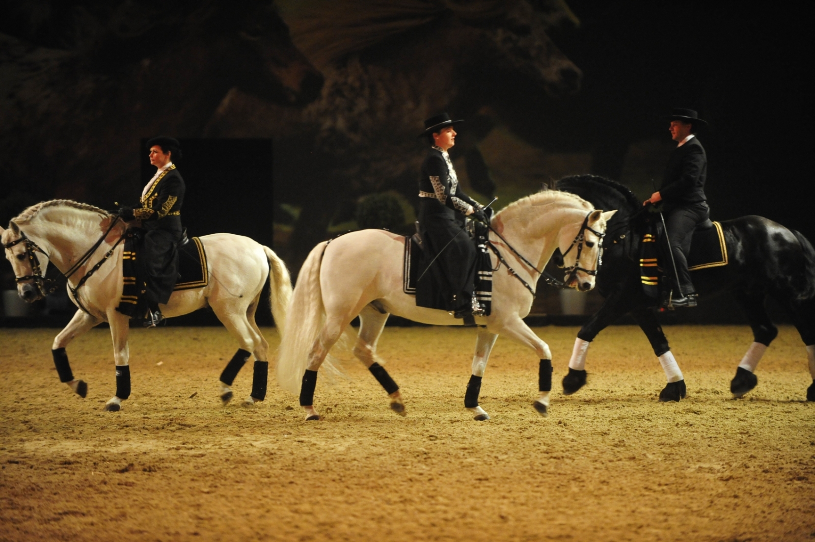 Programm in der Manège Baroque auf der Pferd&Jagd